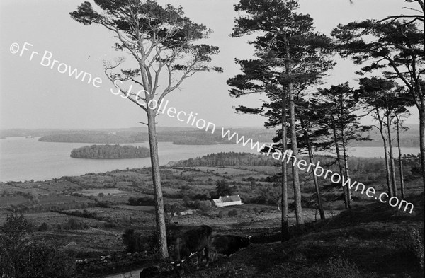 LOUGH KEY FROM ROCK OF DOOR VARIOUS VIEWS OF LOUGH FROM HILLSIDE